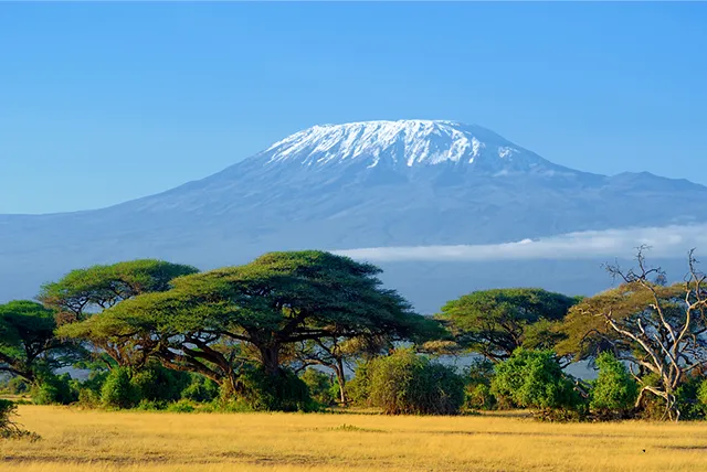 Flights from entebbe to Kilimanjaro